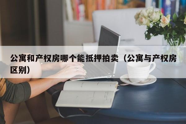 公寓和产权房哪个能抵押拍卖（公寓与产权房区别）