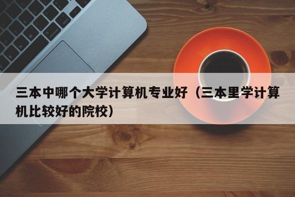 三本中哪个大学计算机专业好（三本里学计算机比较好的院校）