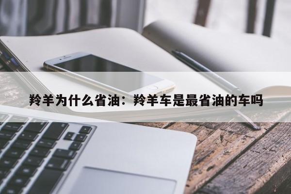 羚羊为什么省油：羚羊车是最省油的车吗