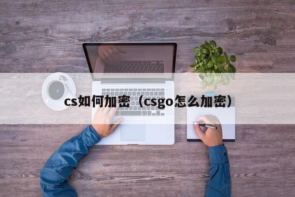 cs如何加密（csgo怎么加密）