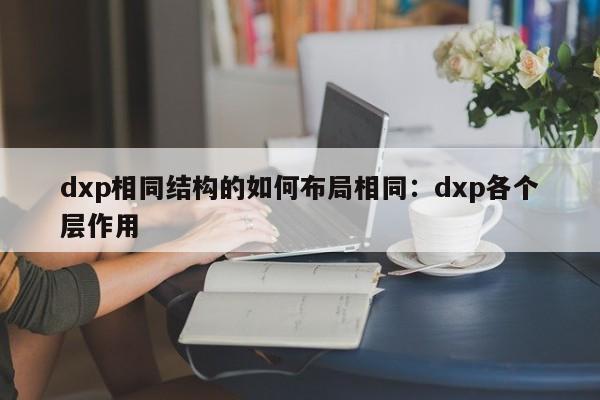 dxp相同结构的如何布局相同：dxp各个层作用