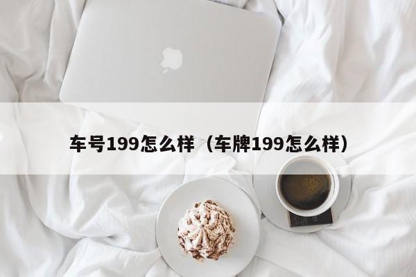 车号199怎么样（车牌199怎么样）