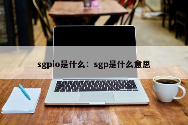 sgpio是什么：sgp是什么意思